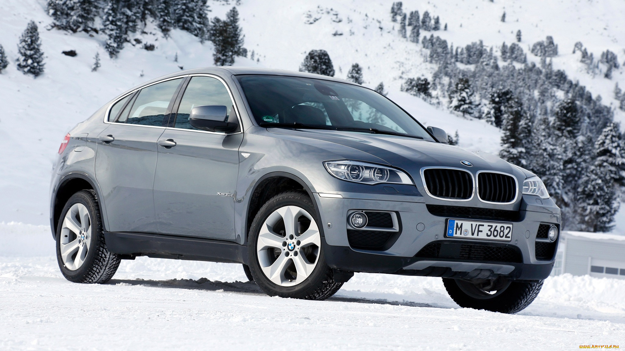 bmw, , x6